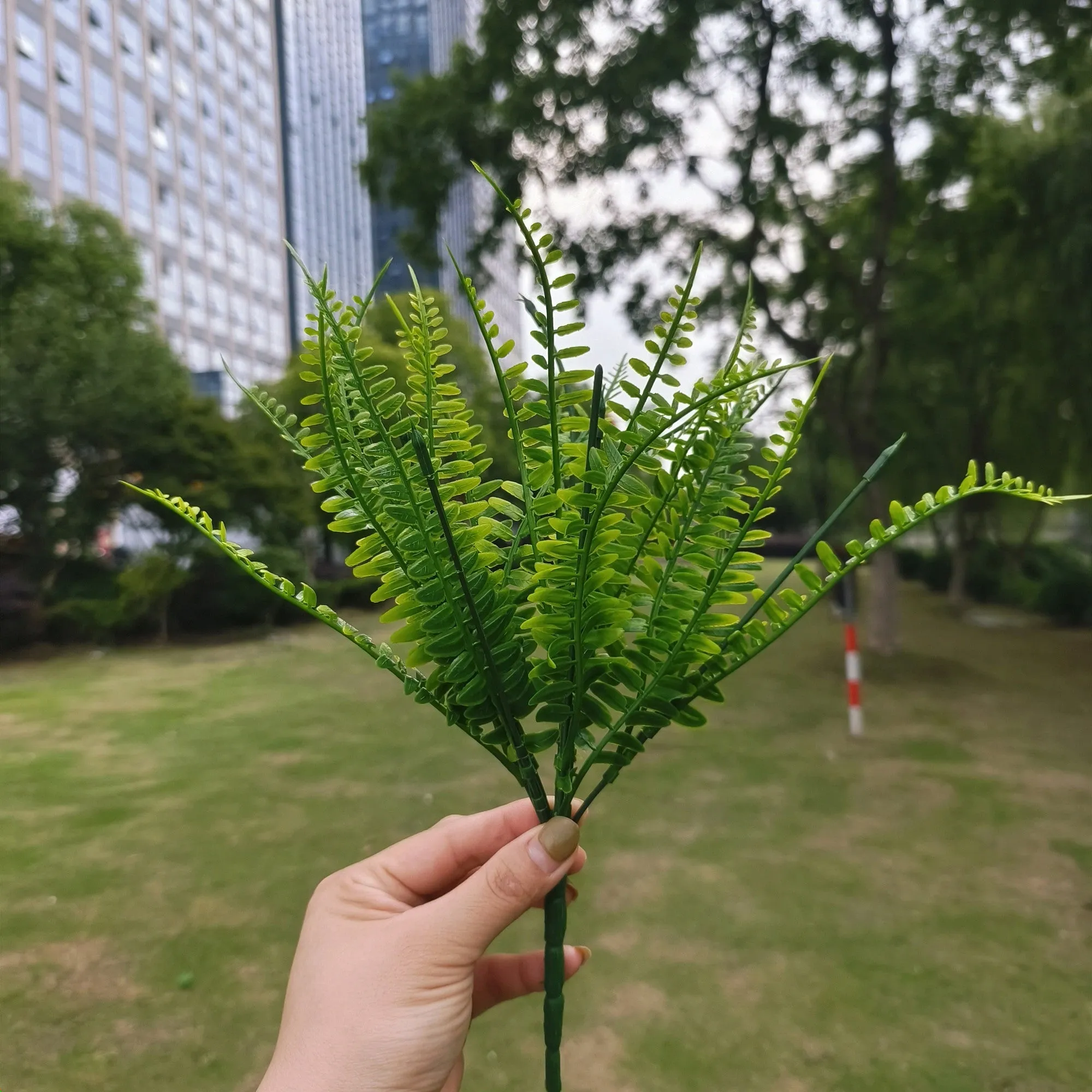 Clearance Bulk 8 Bundles Boston Ferns Bushes Plants UV Resistant for Outdoors Wholesale