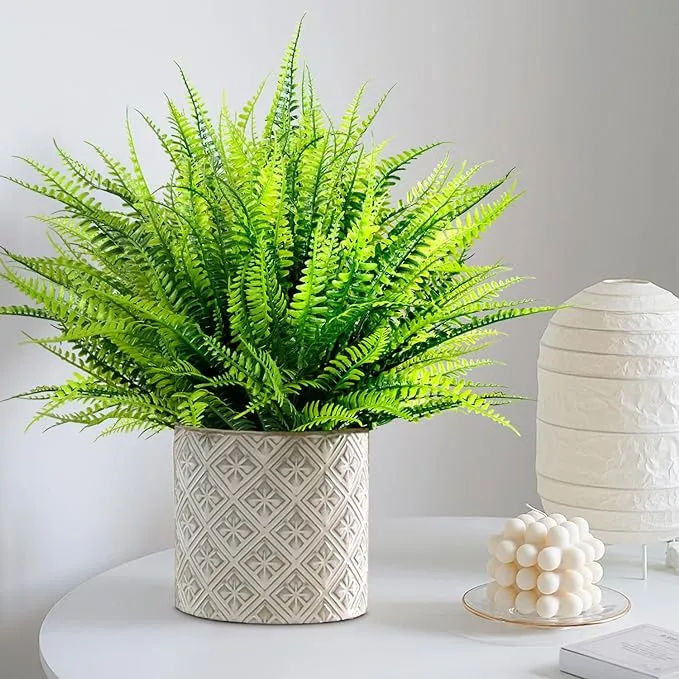 Clearance Bulk 8 Bundles Boston Ferns Bushes Plants UV Resistant for Outdoors Wholesale