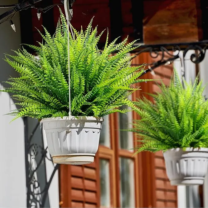 Clearance Bulk 8 Bundles Boston Ferns Bushes Plants UV Resistant for Outdoors Wholesale