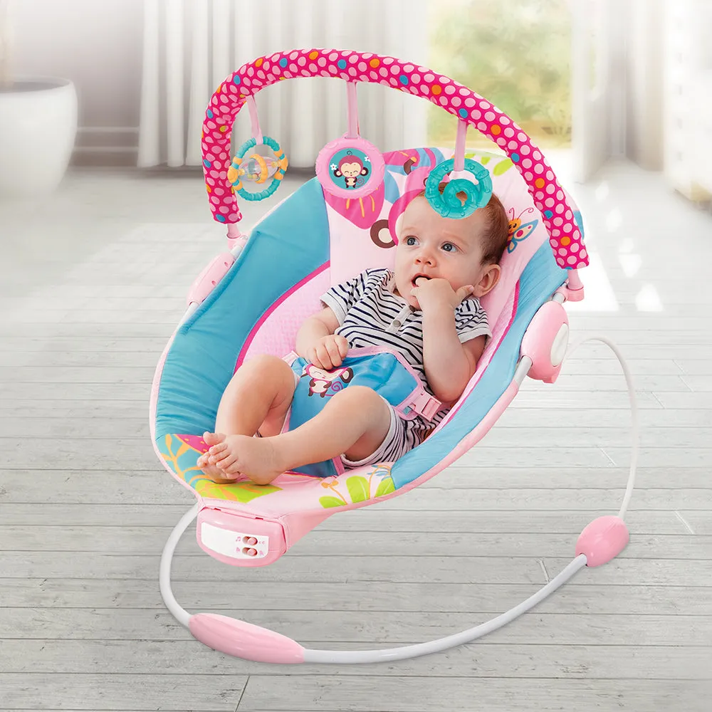 Mastela Music Vibrations Bouncer - Birth to 6M Distressed Box